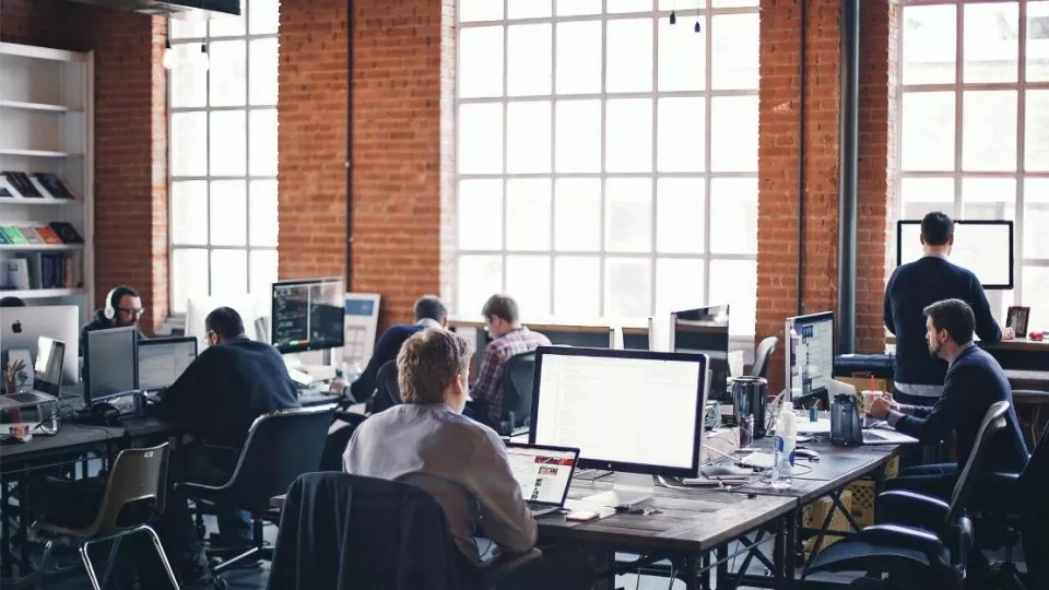 Как выбрать веб-студию в Сольцах по кейсам