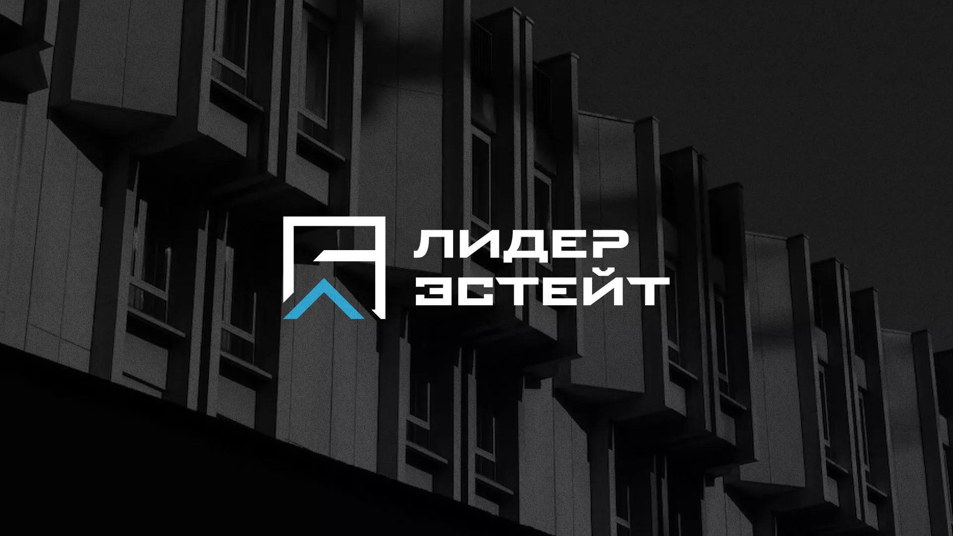 Разработка логотипа агентства недвижимости «Лидер Эстейт» в Сольцах